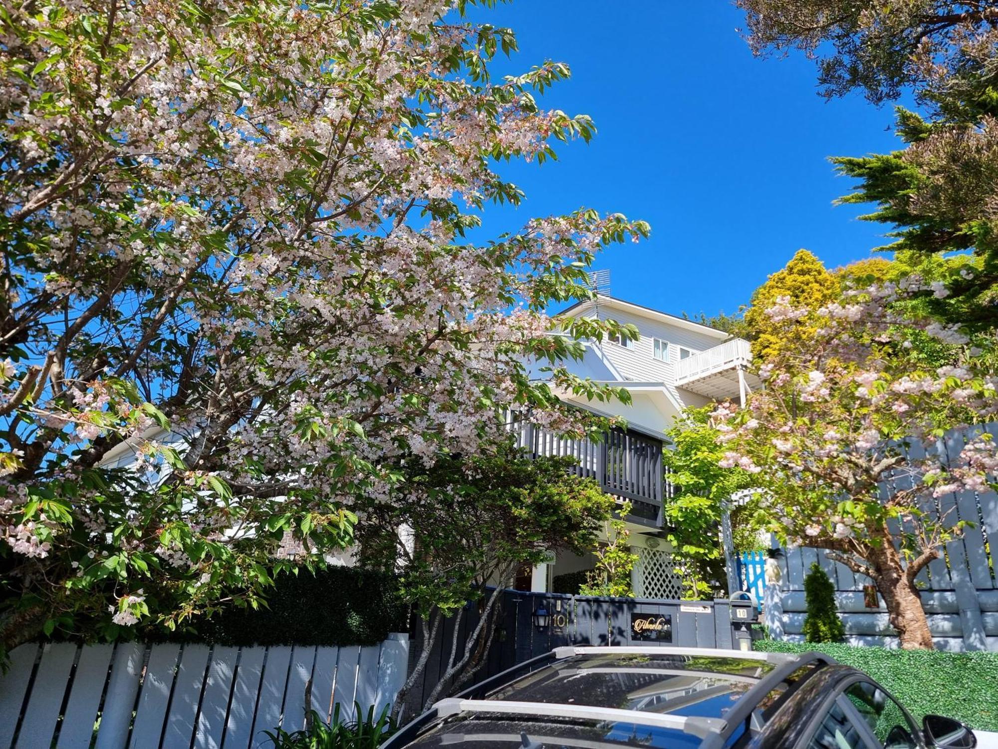 Entire Ground Floor With Full-Privacy And Family-Friendly Popular To Ferry Catchers Wellington Extérieur photo
